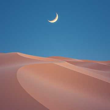 Sands of the Forgotten cover art