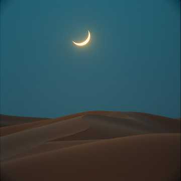 Sands of the Forgotten cover art