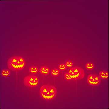 hooleys wawa cover art