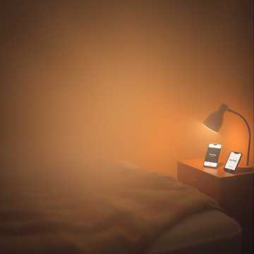 Пять лет как один день cover art