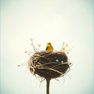 Storchennest cover art