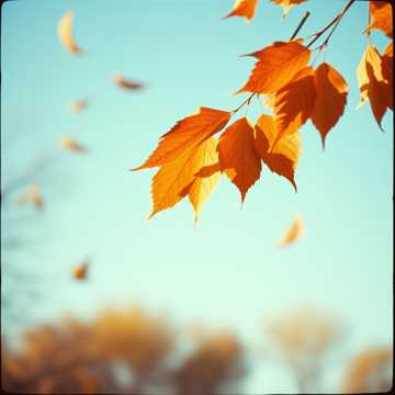 Timeless Whispers cover art