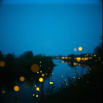 Midnight Fireflies cover art