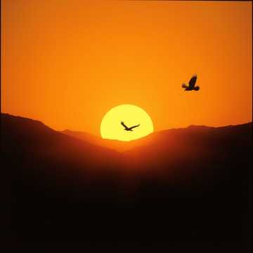 Stronger Than the African Sun cover art