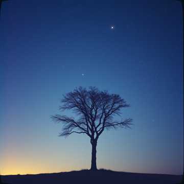 Adakah Aku? cover art