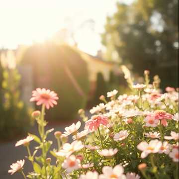 Iubirea mea cover art