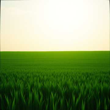 Come Lord to Romania cover art