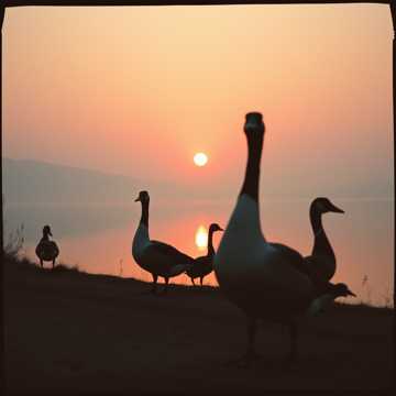 La multi ani prietene drag cover art