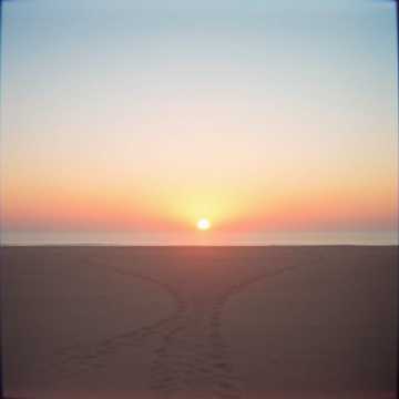 Y fuiste tú! cover art