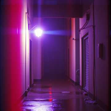 Shadows in the Rain cover art