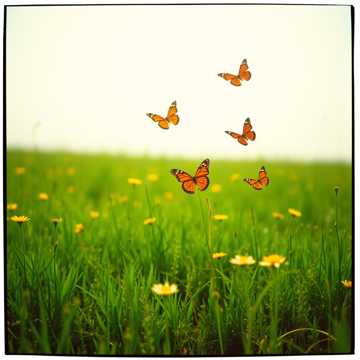 Prietenia e magie cover art