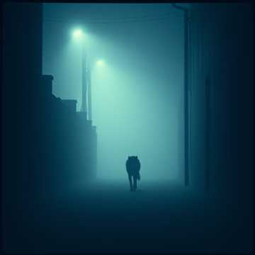 No Face No Case cover art