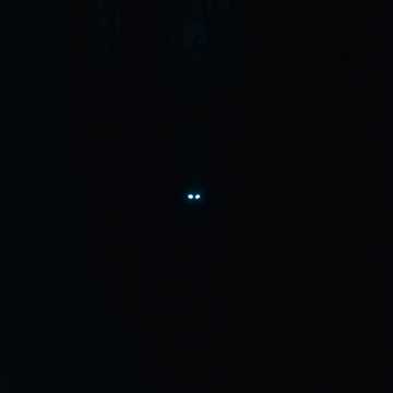 Midnight Confessions cover art