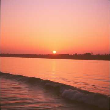 Trei bătaie de inimă cover art