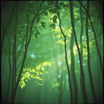 Invisible Spaces cover art