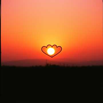 Paso a Paso cover art