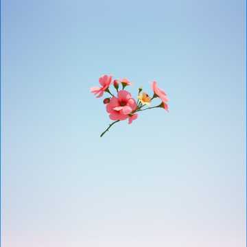 Letzter Abschied cover art