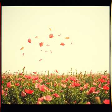 Letzter Abschied V2 cover art