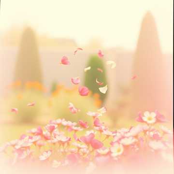 Letzter Abschied V2 cover art