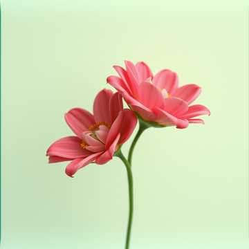 Abi y un 8 de marxo cover art