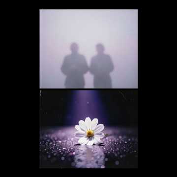 WHY DID WE LET GO?! cover art