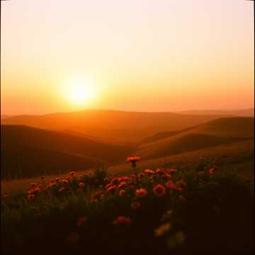 Rise and Shine cover art