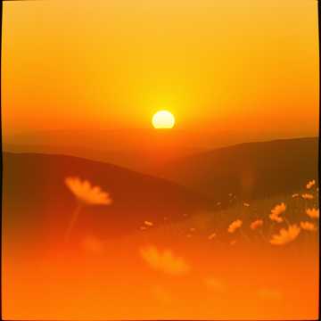 Rise and Shine cover art