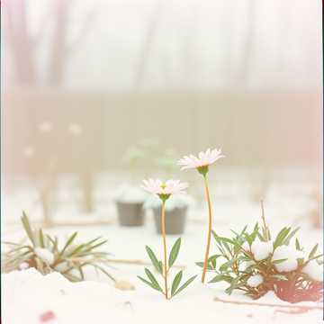 My Forever cover art