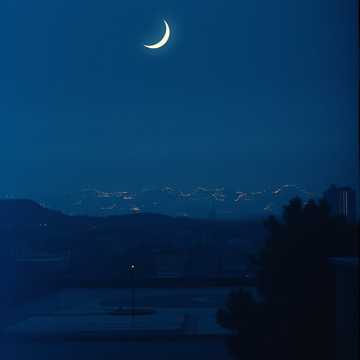 Shadows Between Us cover art