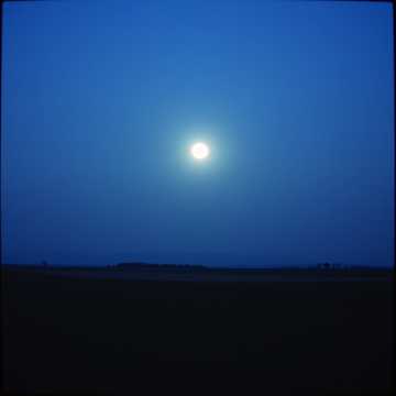 Chỉ có Em Trong Đêm cover art