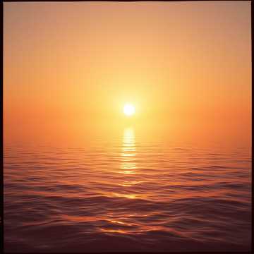 Rise and Shine cover art