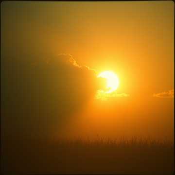 Danielaaaaaaaa cover art