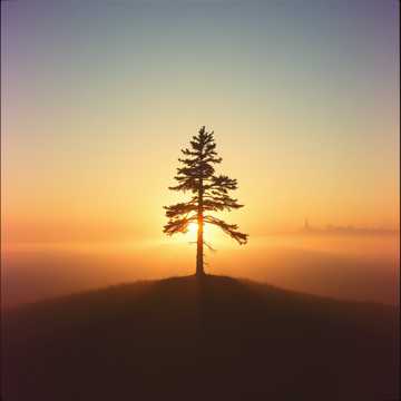 W głąb ciszy cover art