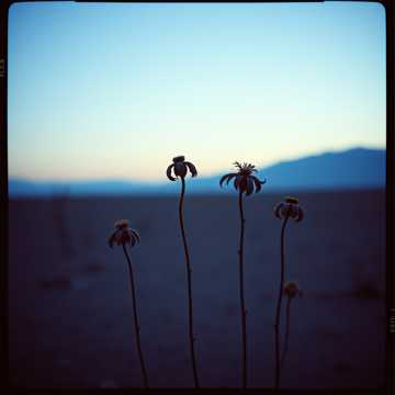 Ujung lelah cover art