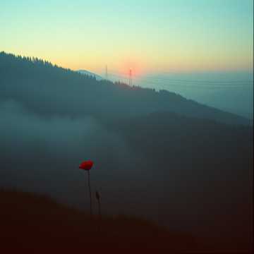 bella ciao cover art